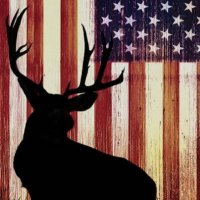 Carson Rust (@carson_rus84332) 's Twitter Profile