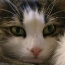 Eileen L. Palmer - @EileenPalmer3 - Twitter