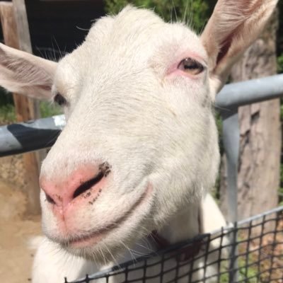 clearsui_86157's profile picture. 人間活動記録。お酒のために生きてます。