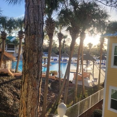 1 bedroom vacation condo in Perdido Key, Florida