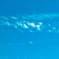 Samantha Shotzbarger (@sshotzbarger) 's Twitter Profile