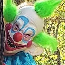 mazda36spd's profile picture. 