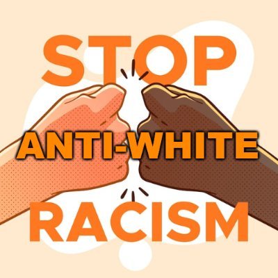 Seeking support to expose & oppose anti-white racism rampant in America today!