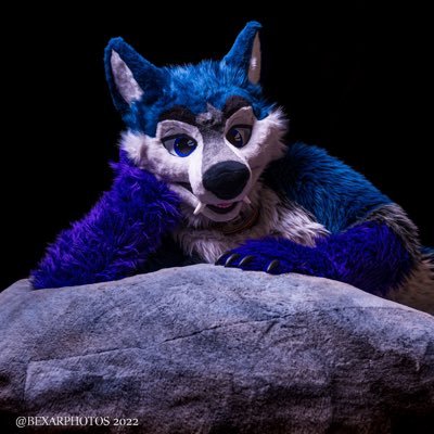 Hiya I am Albax! I do random computer projects amongst other things. A @ByCats4Cats and @furzombie suiter | twitch https://t.co/fwaSG5g01j