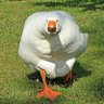 oanukon's profile picture. 