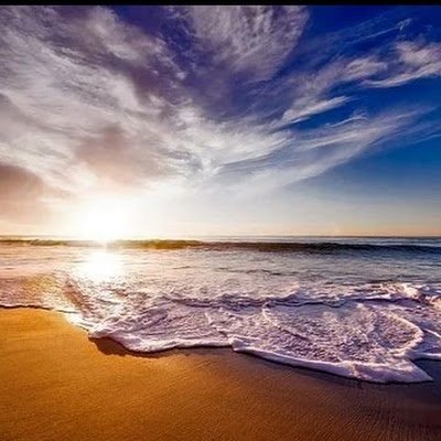 Blabla09L74903's profile picture. 