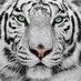 Moral y luces (@moralyluces1968) Twitter profile photo Moral y luces (@moralyluces1968) Twitter profile photo