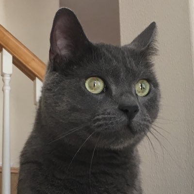 smadacm's profile picture. 