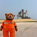 joseph spector 🌹 - @jmspector - Twitter