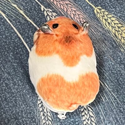 2022年10月362日の典樹🦀さんのプロフィール画像