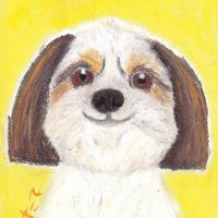 がじぇ@幕張の犬好き (@gadge_mst) 's Twitter Profile