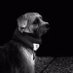 multilayer (@multilayer) Twitter profile photo multilayer (@multilayer) Twitter profile photo