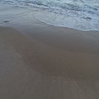 Ho Tan Truong ❤️ Memecoin (@hotantruon2) 's Twitter Profile
