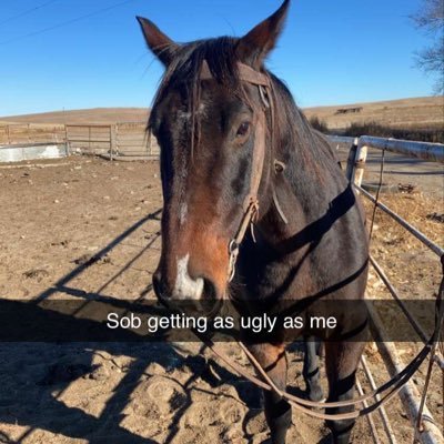 DukeS80330h's profile picture. Hi I’m new