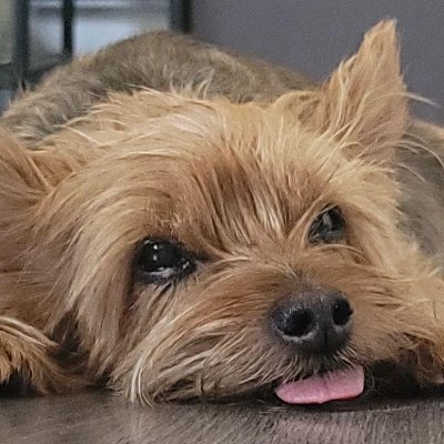 gr8tspace's profile picture. I like stuff and doing things