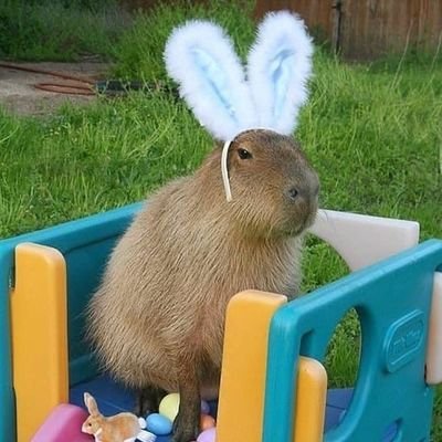 Katuuht12's profile picture. Suiton: cebar mate no-jutsu