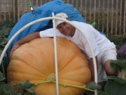 Grow Big Pumpkins and Use Analytics to Grow Bigger