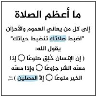 محمد علي الشجر (@malshjr) 's Twitter Profile