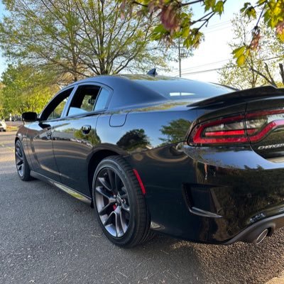 tqrmr5bcjn's profile picture. 20 Yr Marine. Hubby & strap hanger to a fabulous career Long haired Devil Dog. 4 beautiful humans call me Dad. Very right of Center.