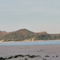 Ho Dac Trong ❤️ Memecoin (@hodactrong21) 's Twitter Profile