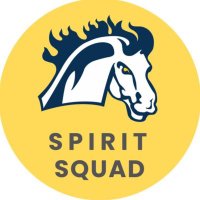 Mount Mercy Spirit Squad (@mmuspirit) 's Twitter Profile