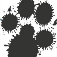 Sharne Wolff (@sharnewolff) 's Twitter Profile Photo