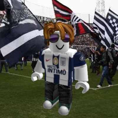 Discípulo de Alianza Lima 💙🤍💙