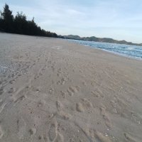 Ho Quoc Hoang ❤️ Memecoin (@hoquochoan6) 's Twitter Profile