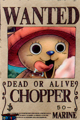 traveler_ikuo's profile picture. 