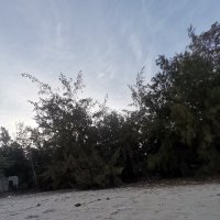 Ho Nam Thong ❤️ Memecoin (@honamthong8) 's Twitter Profile