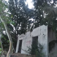 Hoang Kien Binh ❤️ Memecoin (@hoangkienb) 's Twitter Profile