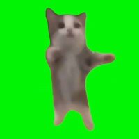 Harsh (@wutharsh) 's Twitter Profile