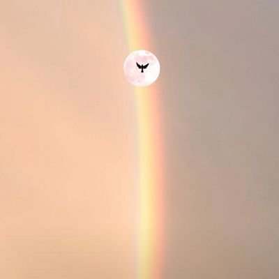 تعامل معي بلطف فربما اكون طبيبك
يوما ما
لم اكن ابحث عن الحب لأعيشة معك كنت ابحث عنك لأعيش الحب معك
كن جميلا مع الكل فهناك لحظة وداع ليس لها وقت