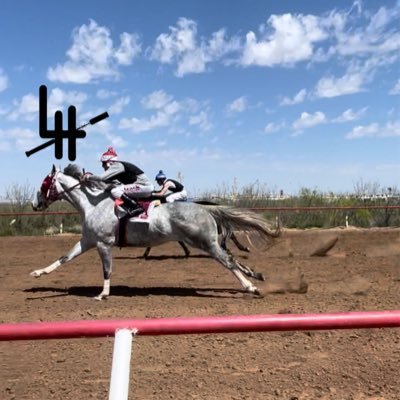 QH Jockey🏇||RIP TIO 12-9-18❤️🕊|| RIP Bryan 10-25-21❤️🕊|| RIP Grandpa 08-04-23❤️🕊