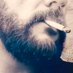 RedMans Smoking Lounge (@redsmokeman72) Twitter profile photo RedMans Smoking Lounge (@redsmokeman72) Twitter profile photo