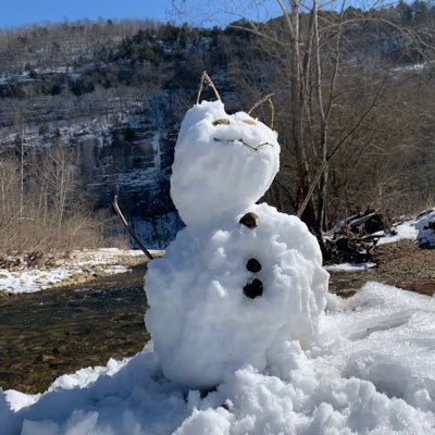 Raito12_1's profile picture. game and software engineer. from 🇯🇵 to 🇺🇸