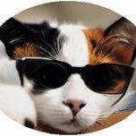 MANAKO40 (@nekoroll) Twitter profile photo