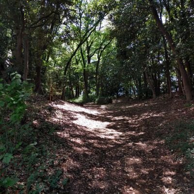 criticabug's profile picture. 調べることが好き。
引用、反論、ご自由に。

読書の感想： https://t.co/46IMBRkj7Z （BWのリンクはアフィ）