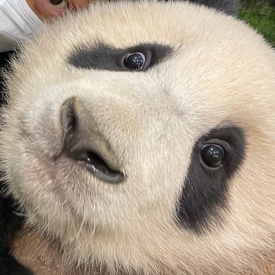 WorlByoung's profile picture. 