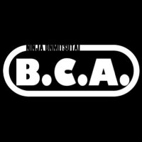 忍者隠密隊B.C.A【公式】(@2bca_official) 's Twitter Profile Photo