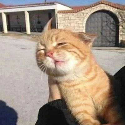 laetschad's profile picture. Bin ein ganz lässiger Typ und finde Crypto ganz cool