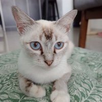 ectest1😈😈😈 (@ectest19) Twitter profile photo