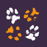 Dogs 4 Rescue(@Dogs4Rescue) 's Twitter Profile Photo