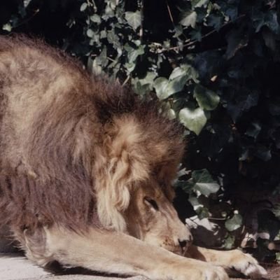 kikiki_kikiki_k's profile picture. 壁打ち　成人済み