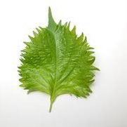 onegichannn's profile picture. 