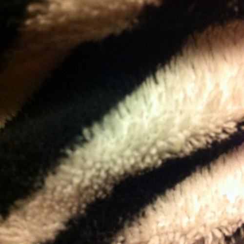 CarlaBoutros's profile picture. 