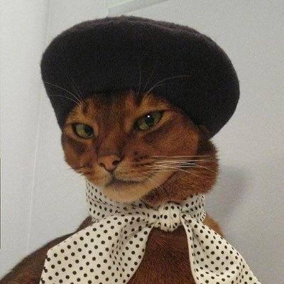 lilnoopZ's profile picture. 