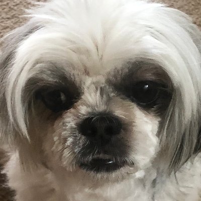 ijiruさんのプロフィール画像