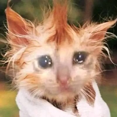 RevengeGod3's profile picture. 