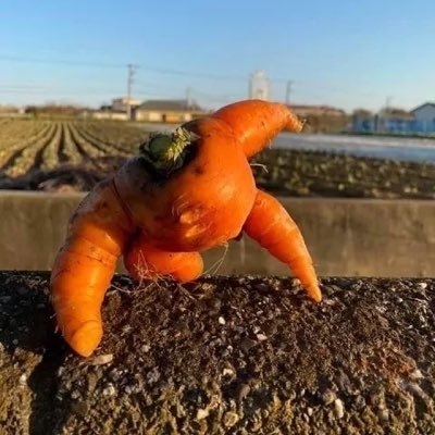 皇和緒さんのプロフィール画像